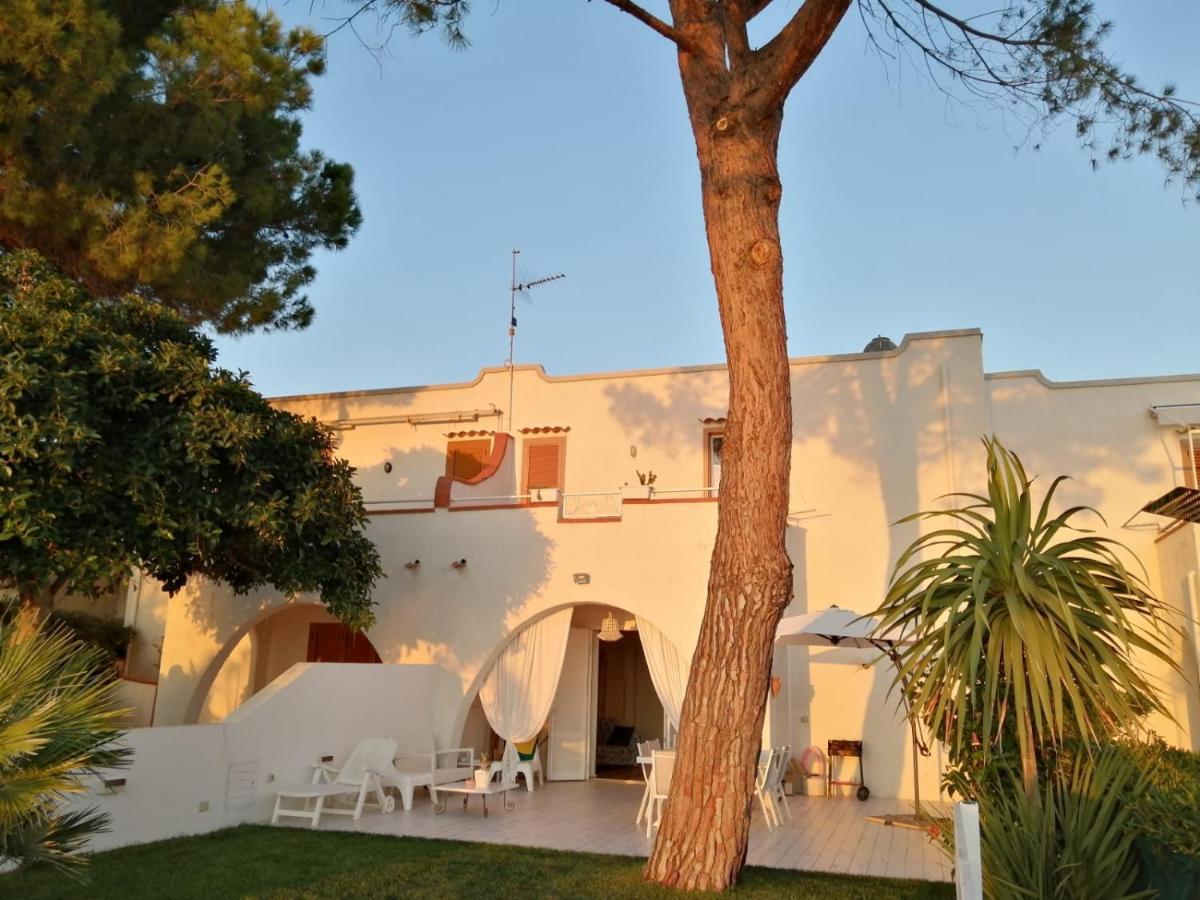 Villa A Diamante Sulla Spiaggia بلفيديري ماريتّيمو المظهر الخارجي الصورة